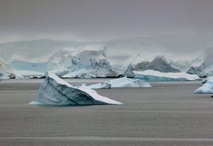 Antarctica - icebergs - sea